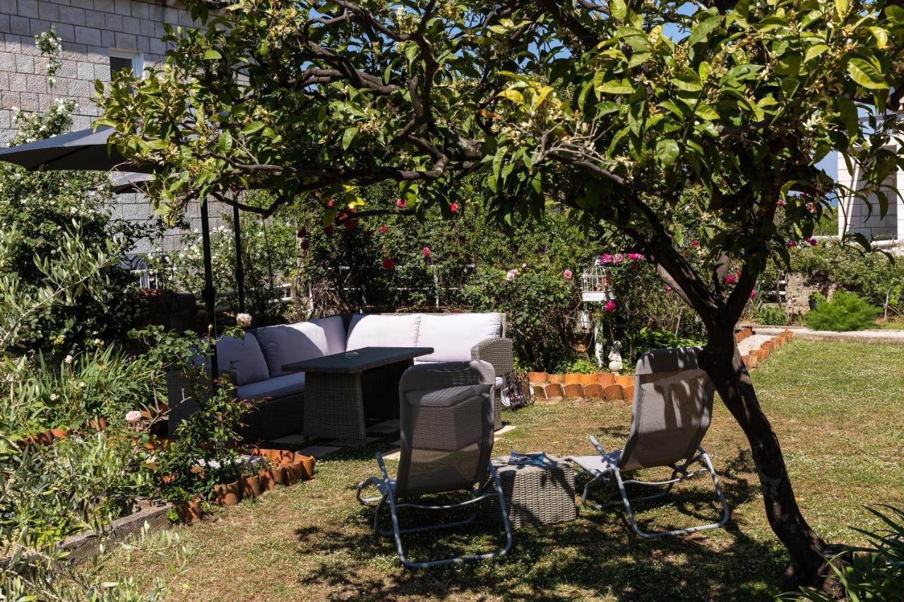 Falkoni Ii Apartman *